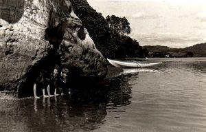 6_looking_for_a_Taniwha