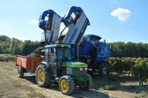 Emptying the bins into the trailer