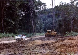 Inside the timber concession.