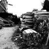 Bundels hout liggen voor de molen Agneta