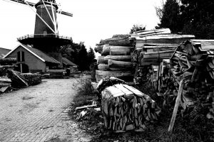 Bundels hout liggen voor de molen Agneta