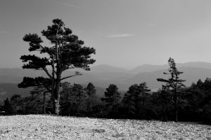 In the Corbières