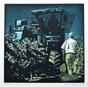 Vendange print, Grape harvest Print