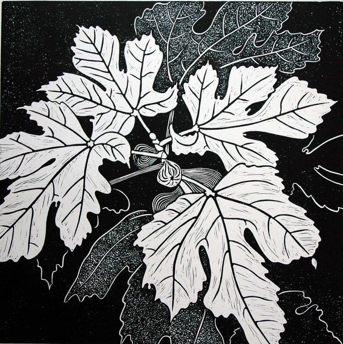 Fig tree, linoleum block print