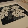 Proof of the fig tree print