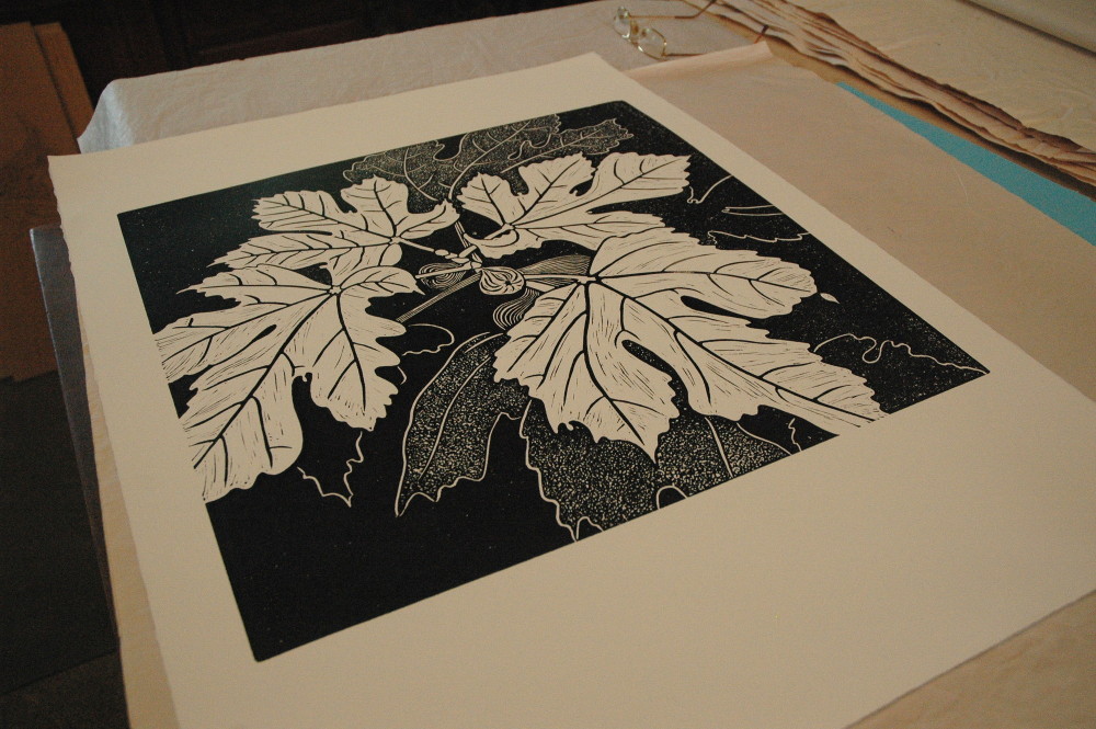 Proof of the fig tree print